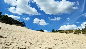 A sandy beach with footprints, trees, and a clear blue sky with clouds. - 4 Person Holiday Home in Borkop-by Traum (Borkop)
