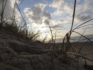 A beach with sand dunes and sparse vegetation. - 5 Person Holiday Home in Harboore (Harboore)