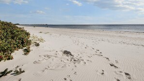 A sandy beach with footprints and a bush with red berries. - 4 Star Holiday Home in Sydals (Sydals)
