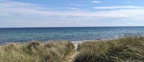 A coastal path leading to the sea with grassy dunes and a clear sky.
