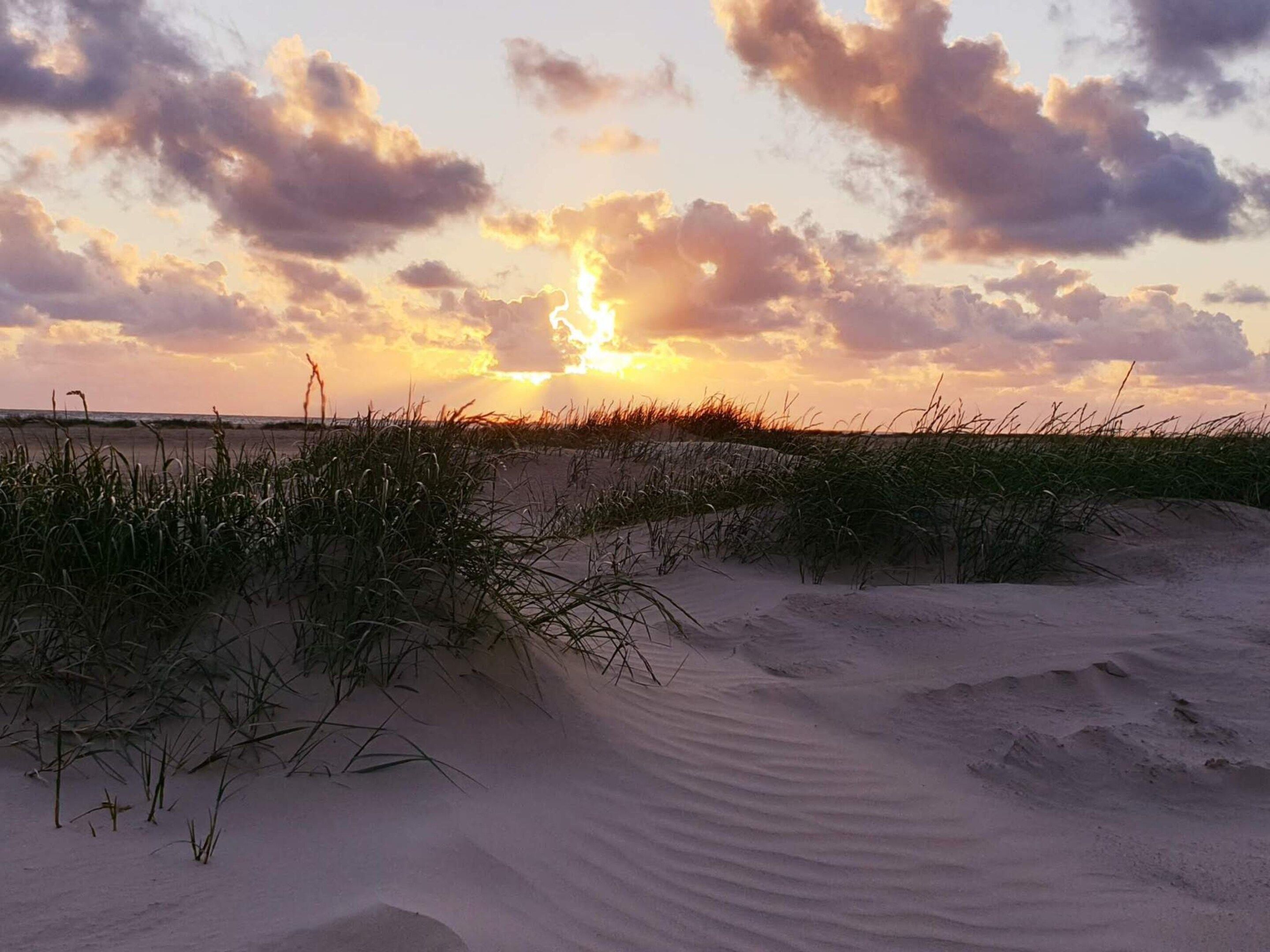 A beach with sand dunes and grass.