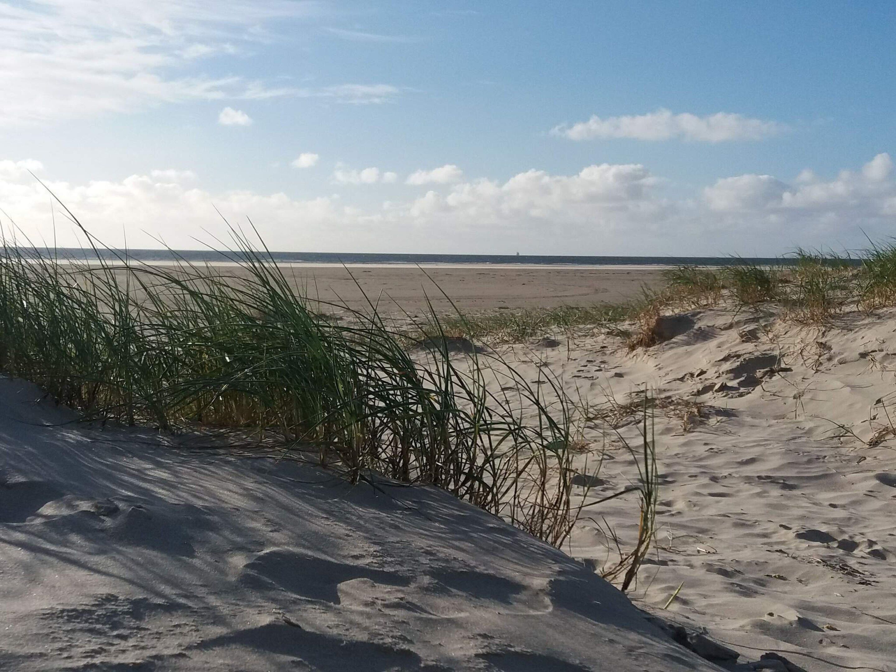 A beach with sand dunes and sparse vegetation.