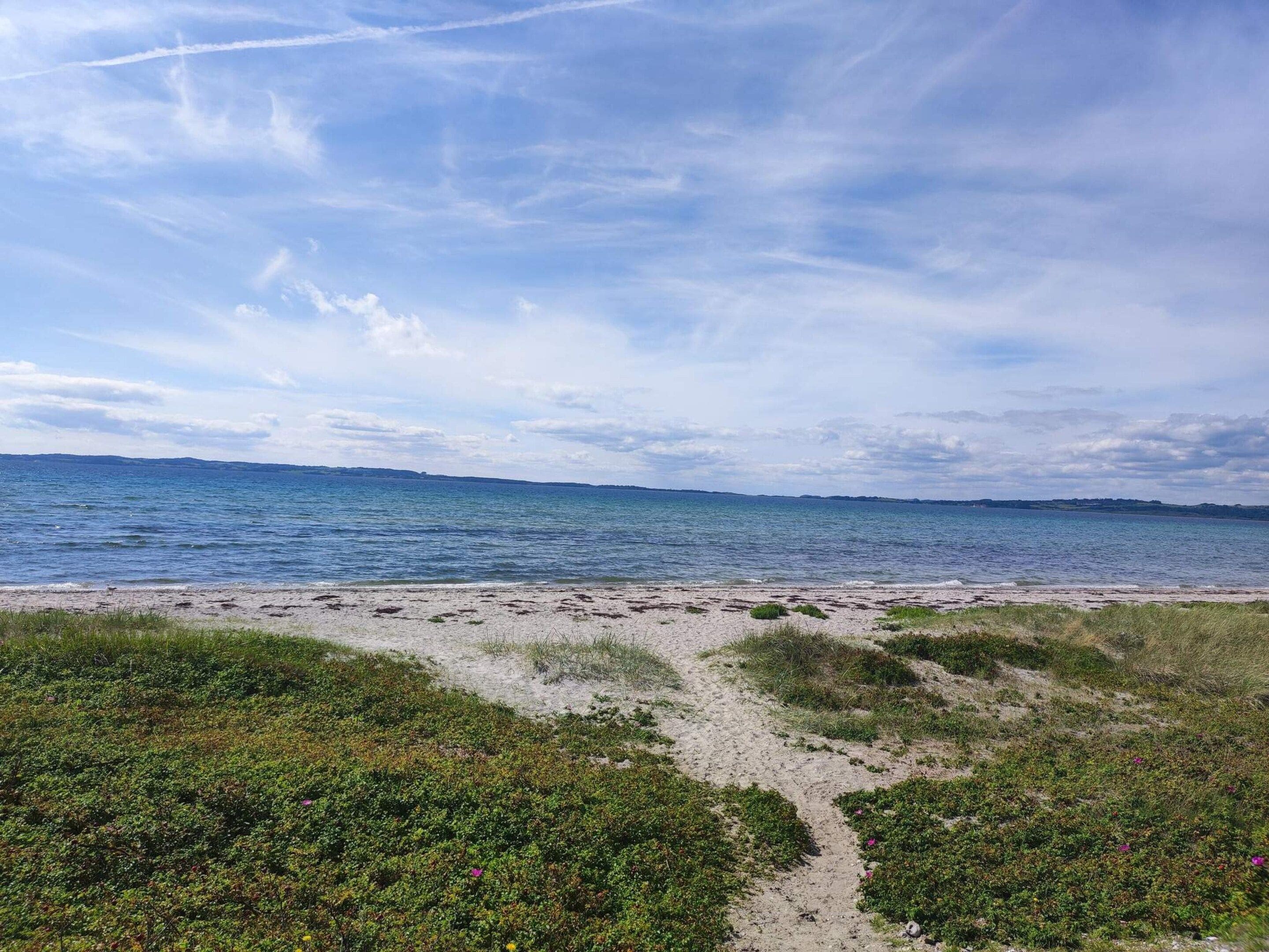 A beach with a clear sky and a sandy path leading to the water.