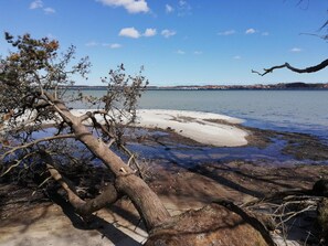 A coastal landscape with a fallen tree, sandy beach, and calm water.