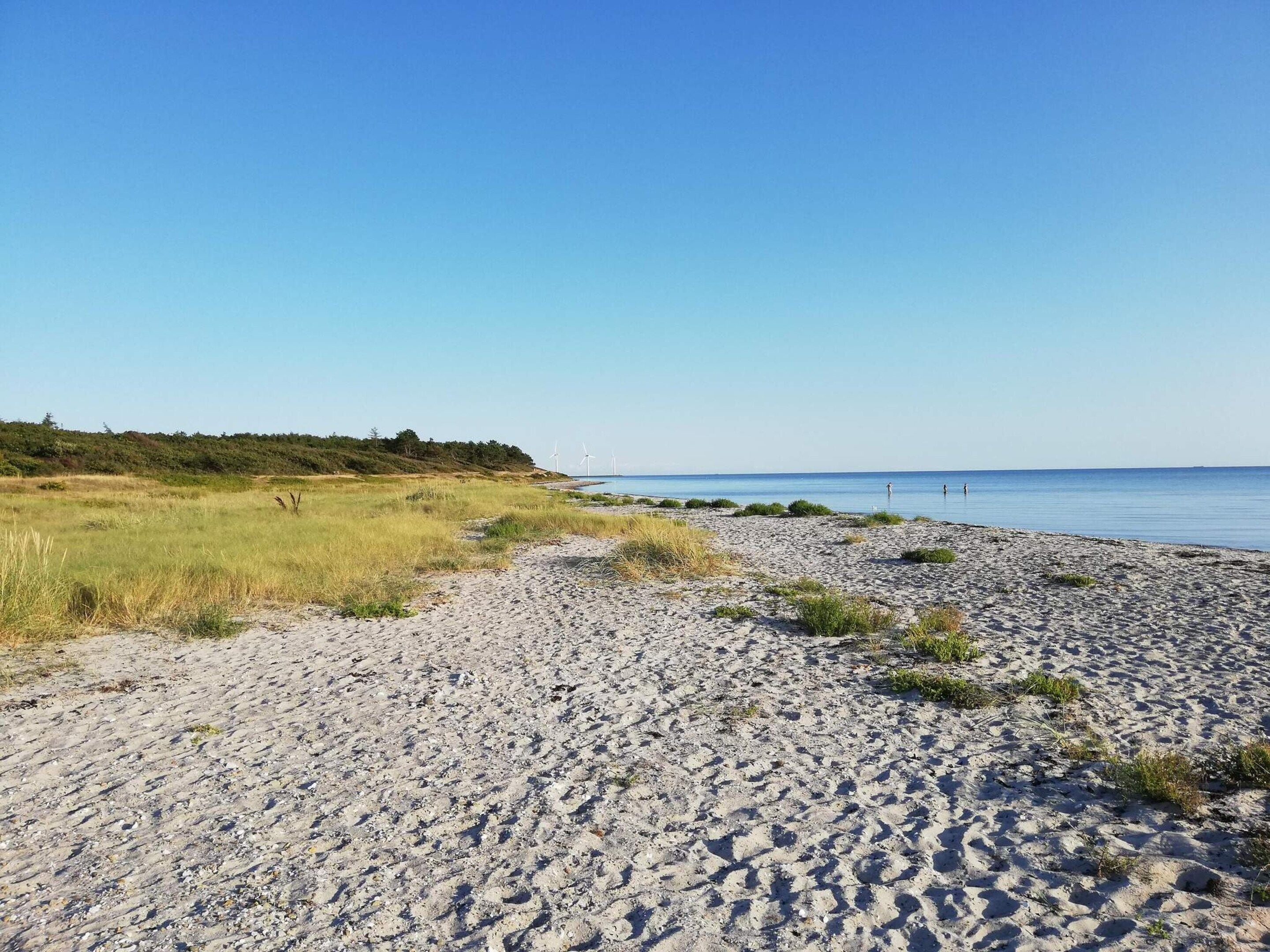 Een strand met zand, gras en een heldere lucht.