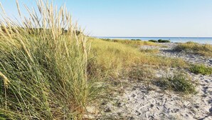Una playa con dunas de arena y vegetación escasa.