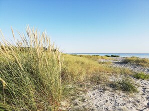 A beach with sand dunes and sparse vegetation. - 5 Star Holiday Home in Ebeltoft (Ebeltoft)