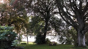 A park with a large tree, a bench, and a grassy area. - Scenic Retreat in Boddum (Hurup Thy)