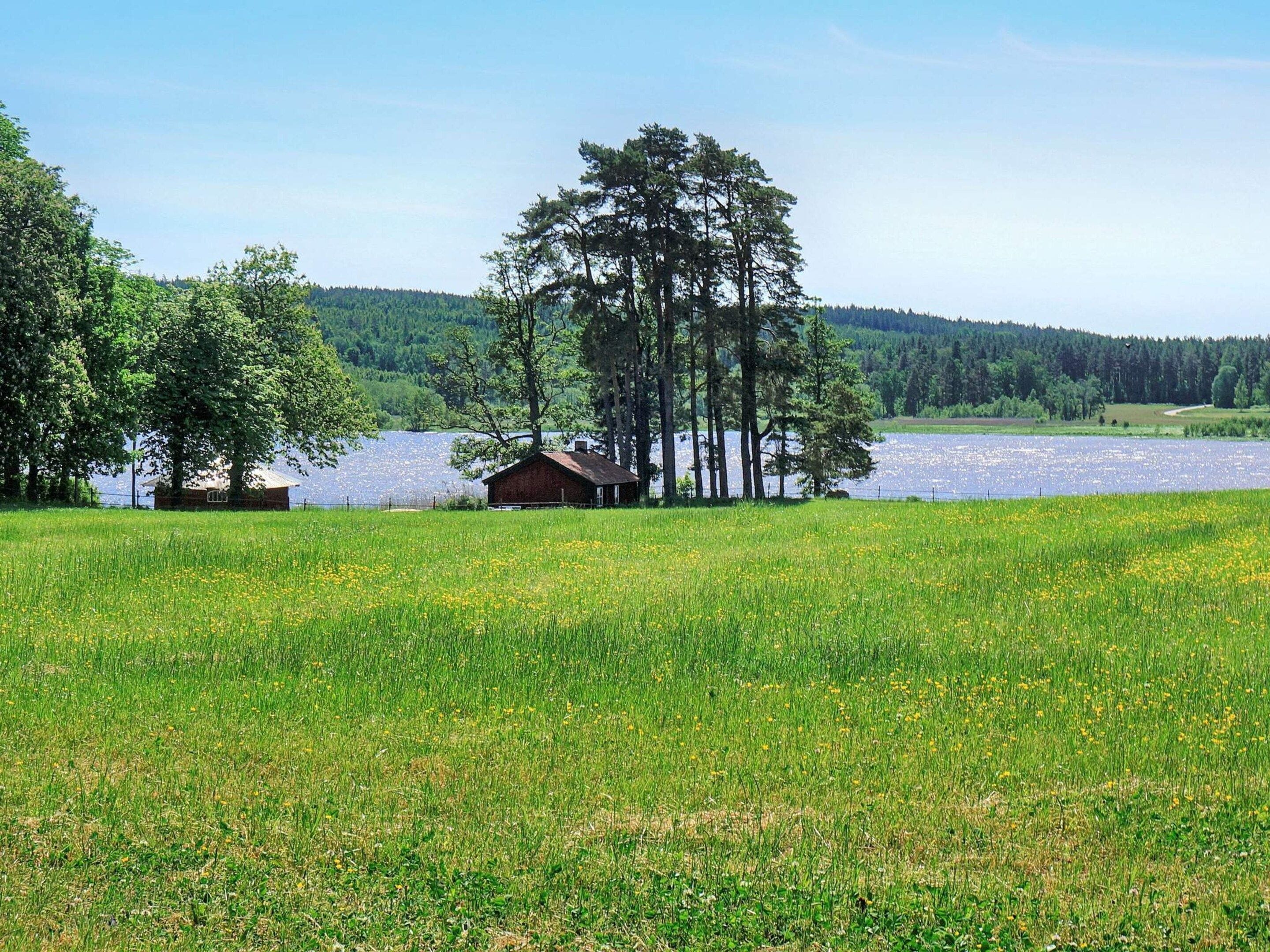 Ejendom ved søen med en træhytte, åbne marker og tæt skov.