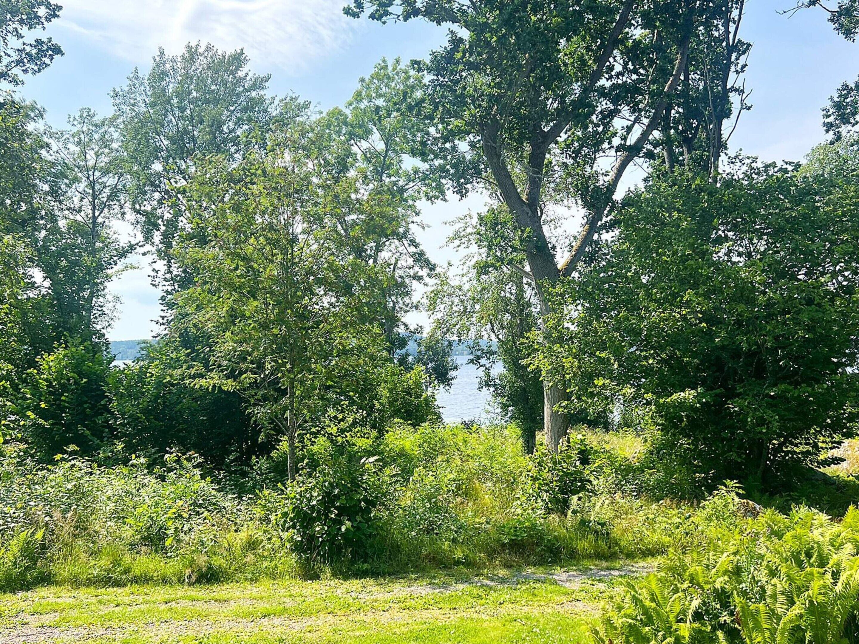 A natural landscape with trees and a body of water in the background.