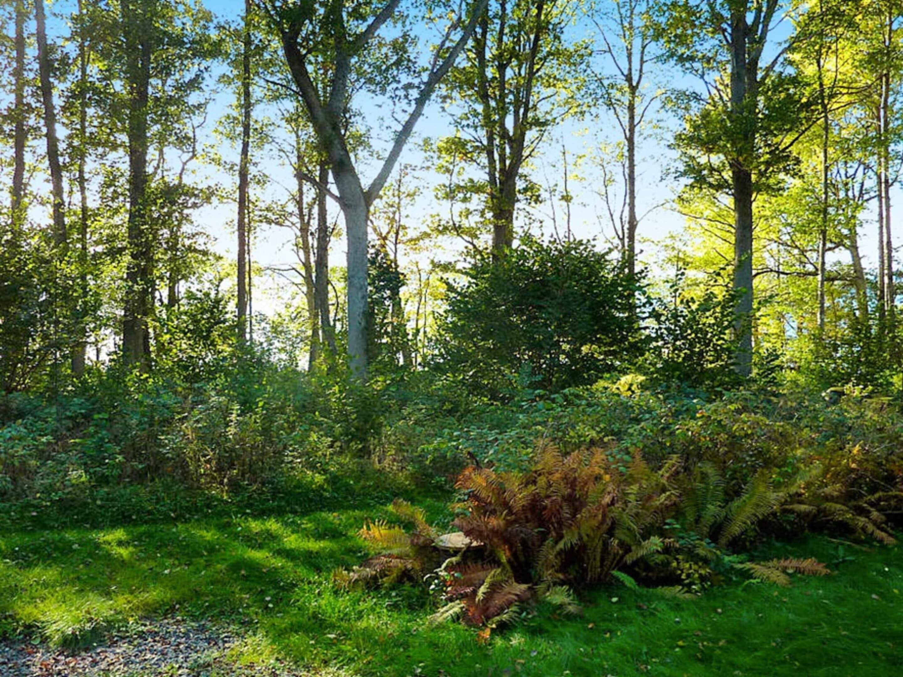 Hus | Overnatningsstedets område