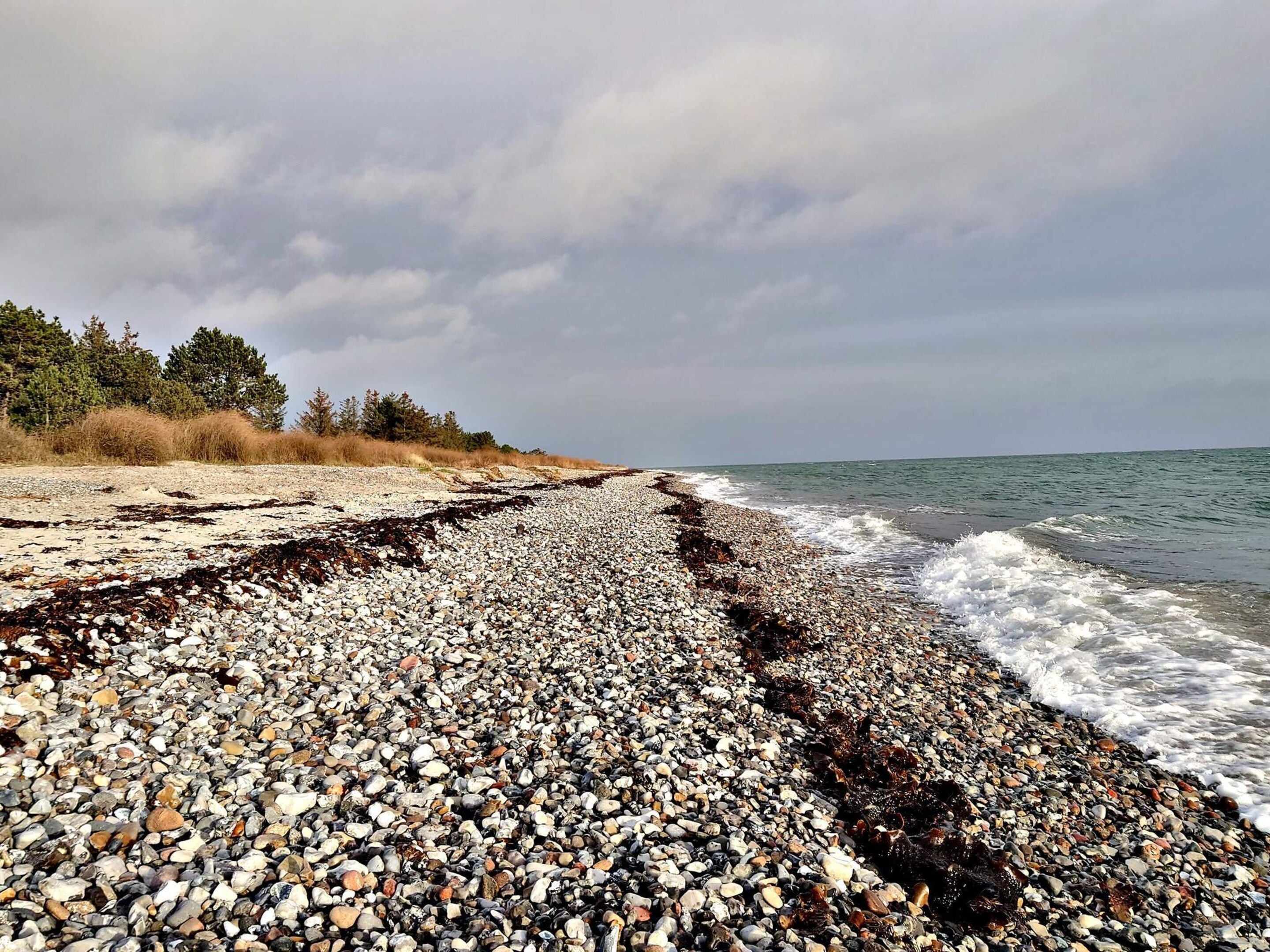 Een kiezelstrand met golven, bomen en een bewolkte lucht.