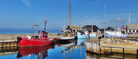 Ferienhaus | Blick von der Unterkunft