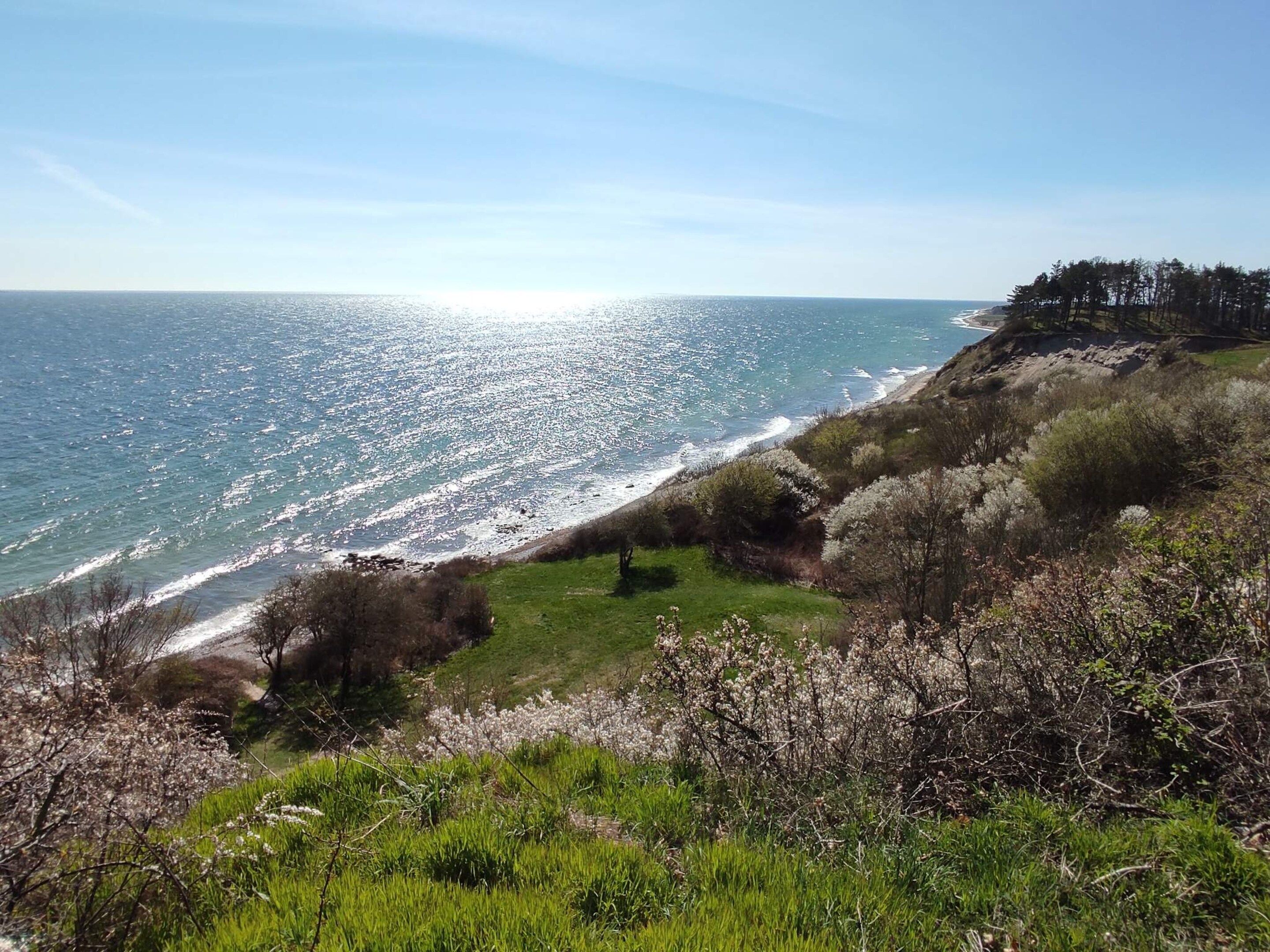 A coastal landscape with a grassy area, trees, and a view of the ocean.