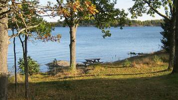 Lake view