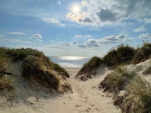 A beach path leading to the sea with dunes on either side.