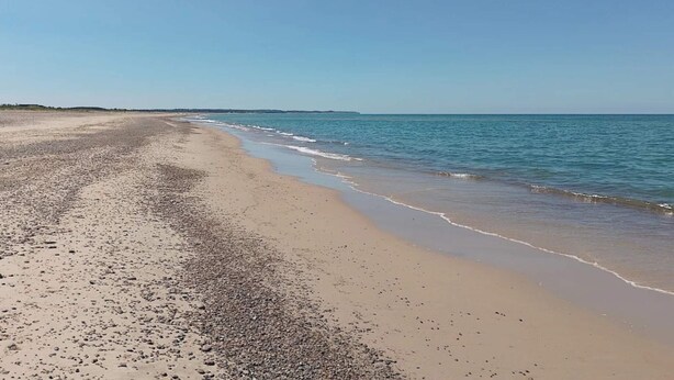 A beach with a wide sandy shore and calm sea. - 4 Star Holiday Home in Vaeggerlose (Vaeggerlose)