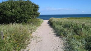 Uma trilha arenosa que conduz ao oceano, ladeada por vegetação densa.