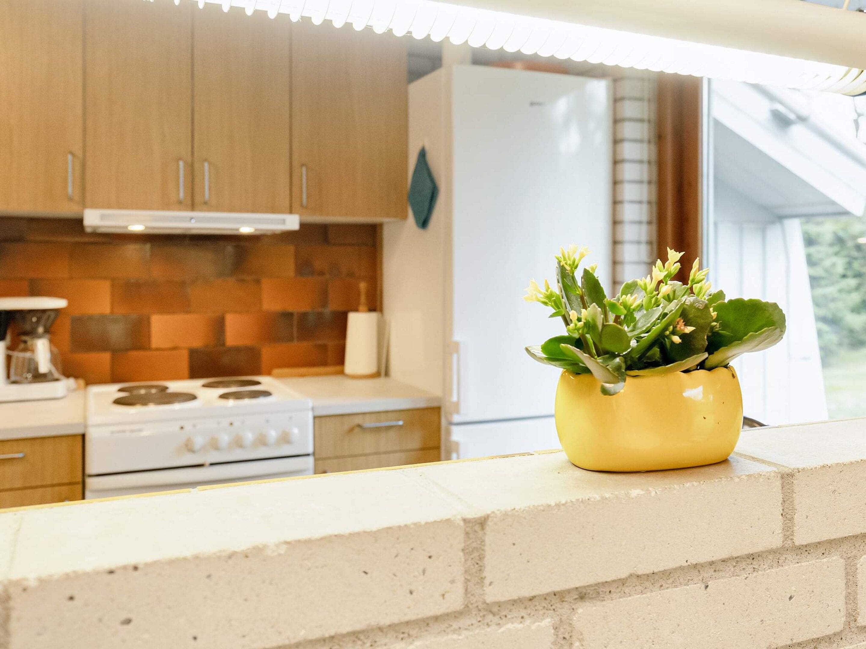 A kitchen with wooden cabinets, a stove, and a yellow plant on the counter.