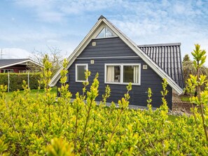 الإطلالة من المنشأة