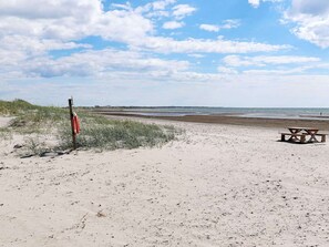 A beach with a lifebuoy, a picnic table, and dunes.