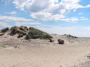 A sandy beach with dunes and scattered rocks. - 4 Person Holiday Home in Tvaaker (Tvaaker)
