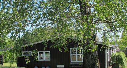 5 Person Holiday Home in Hals