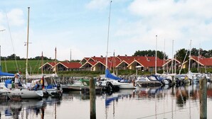 Esterni