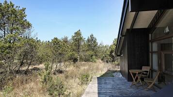 Ferienhaus | Blick von der Unterkunft