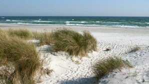 A sandy beach with grass dunes and the ocean in the background. - 6 Person Holiday Home in Nexo (Nexø)