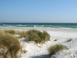 A sandy beach with grass dunes and the ocean in the background. - 6 Person Holiday Home in Nexo (Nexø)