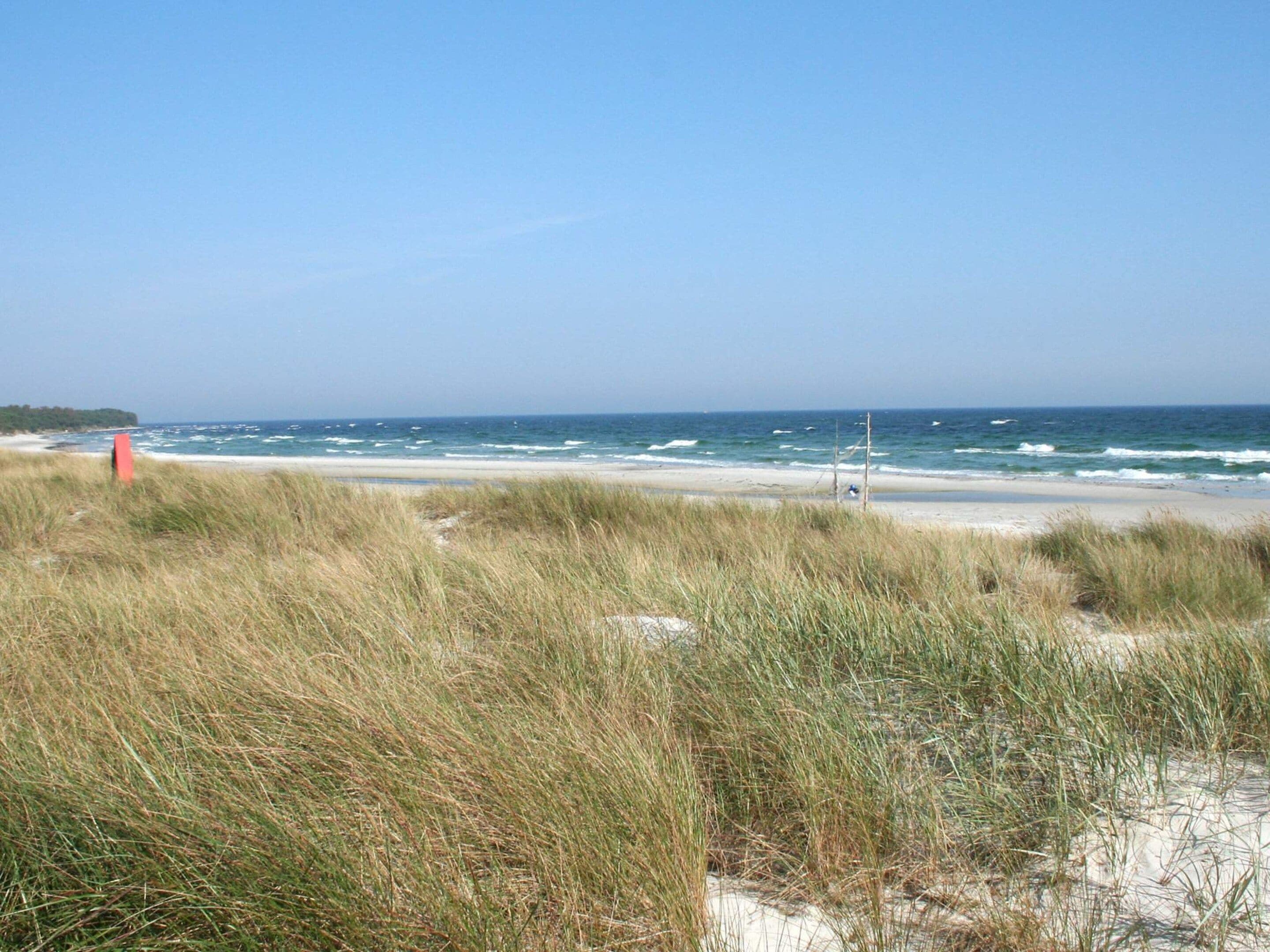 A beach with sand dunes and the ocean in the background.