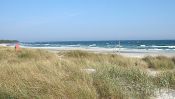 Una playa con dunas de arena y el océano al fondo.