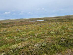 House | Miscellaneous - 6 Person Holiday Home in Romo (Rømø)