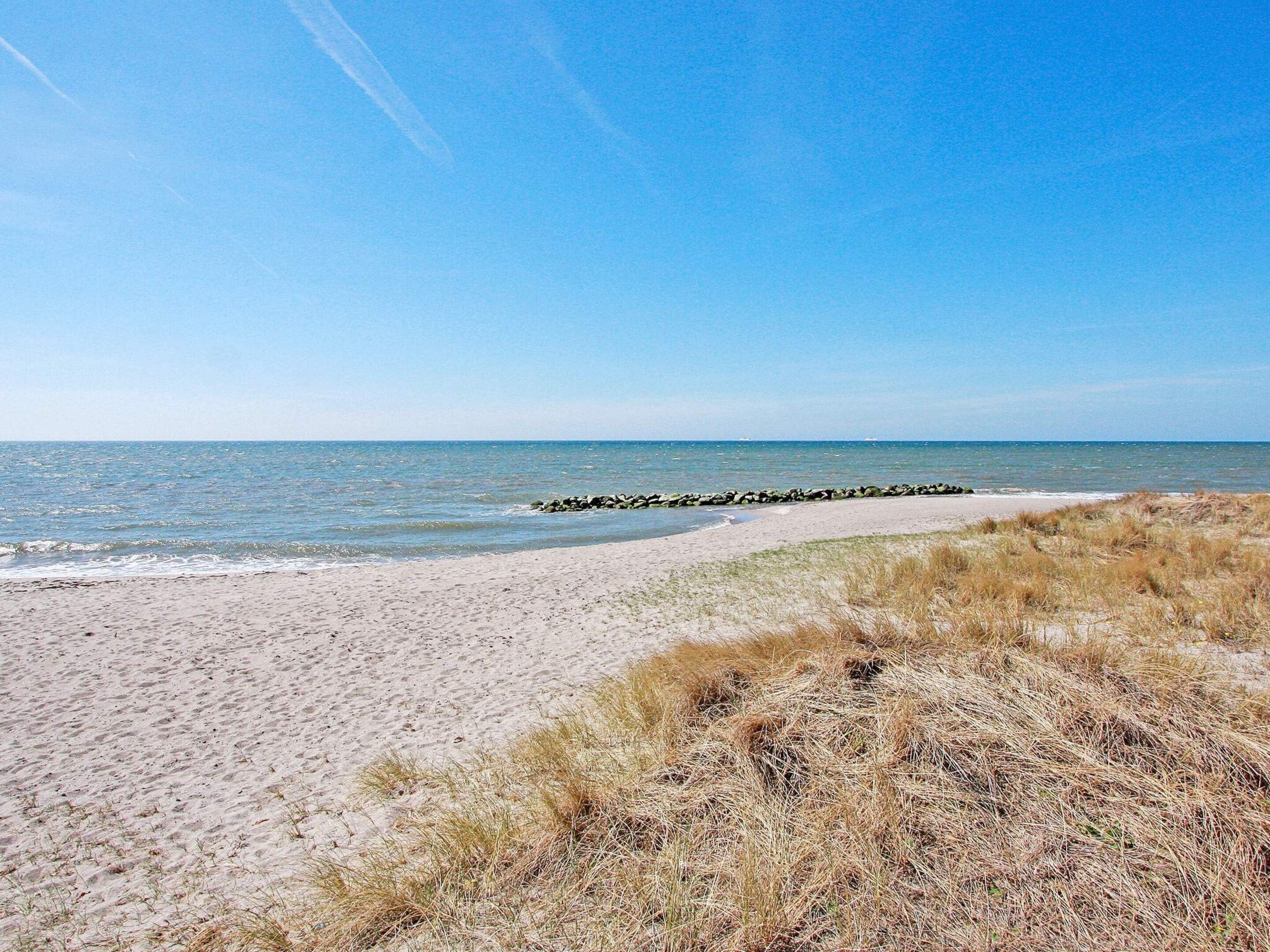 Ein Strand mit sandigem Ufer, grasbewachsenen Dünen und einem ruhigen Meer unter blauem Himmel.
