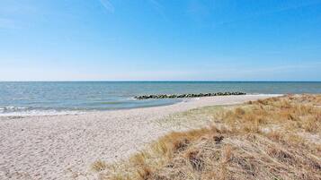 Ein Strand mit sandigem Ufer, grasbewachsenen Dünen und einem ruhigen Meer unter blauem Himmel.