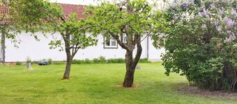 Holiday Home in Vara