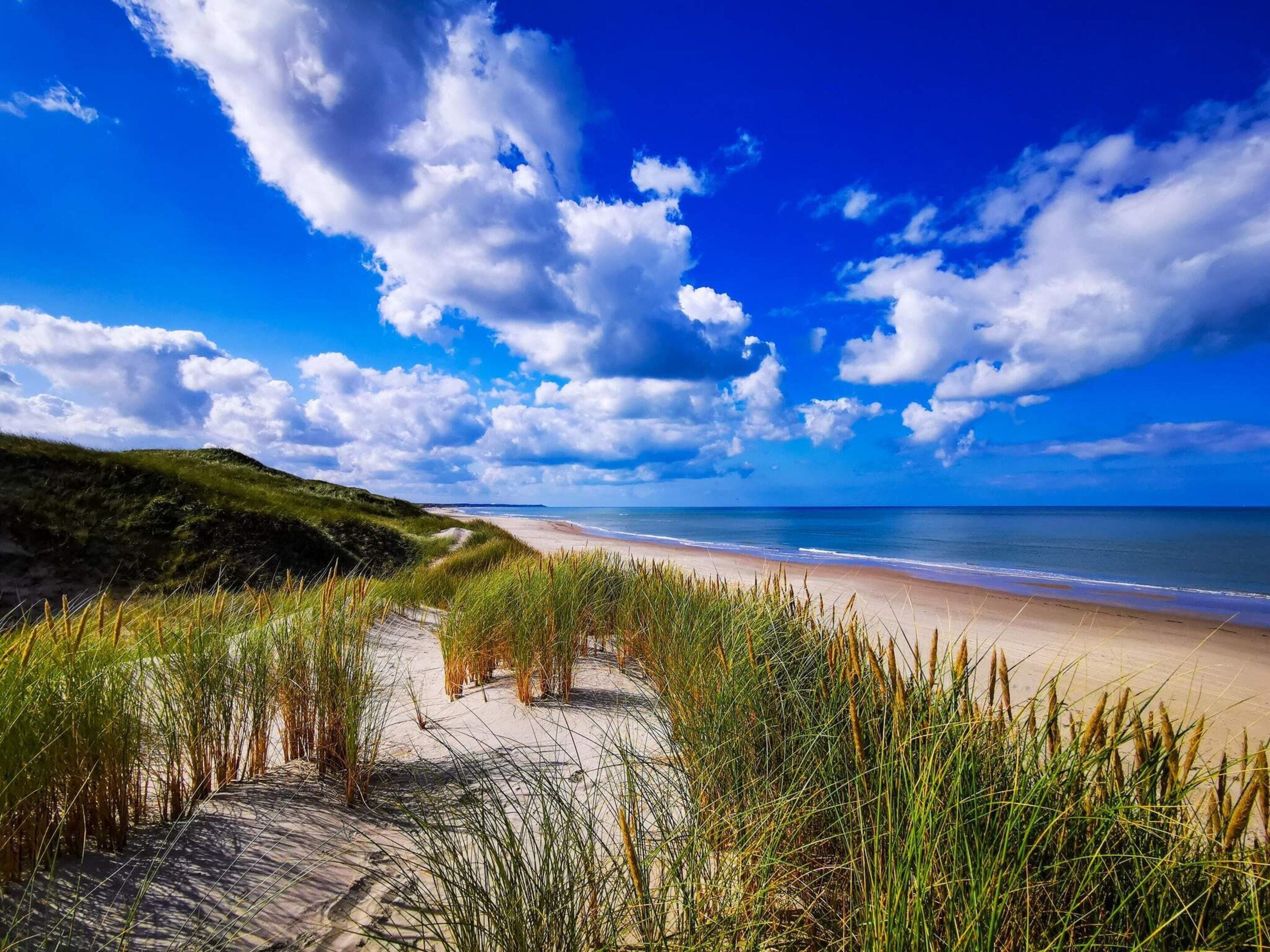 A beach with sand, grass, and a clear blue sky.