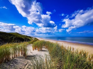 A beach with sand, grass, and a clear blue sky. - 4 Star Holiday Home in Hirtshals (Hirtshals)