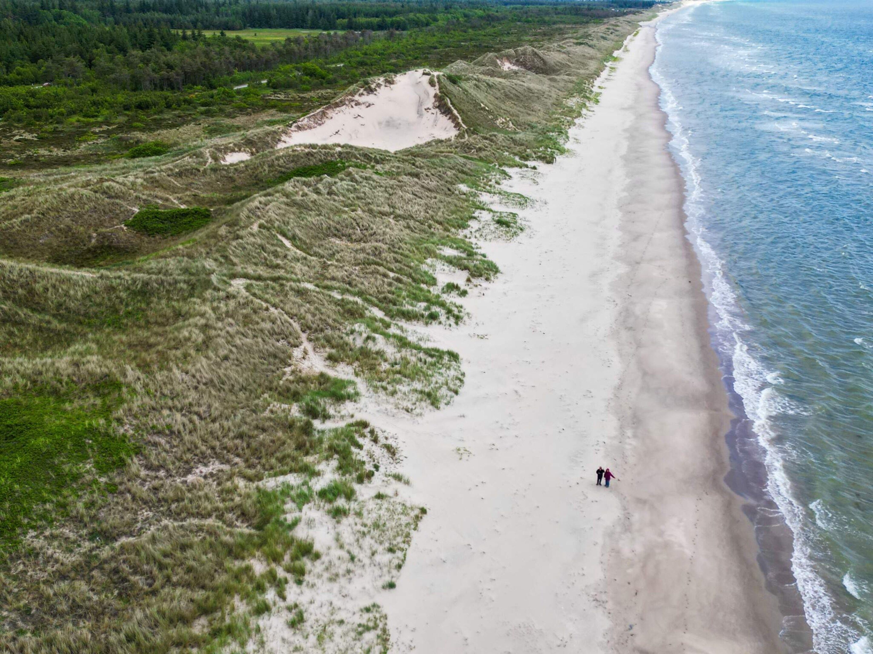 En vy över en strand sedd från luften, med sanddyner och en tydlig utsikt över havet.