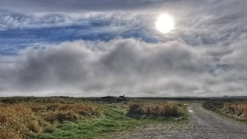 A gravel path leading through a grassy field with a building in the distance under a cloudy sky.
