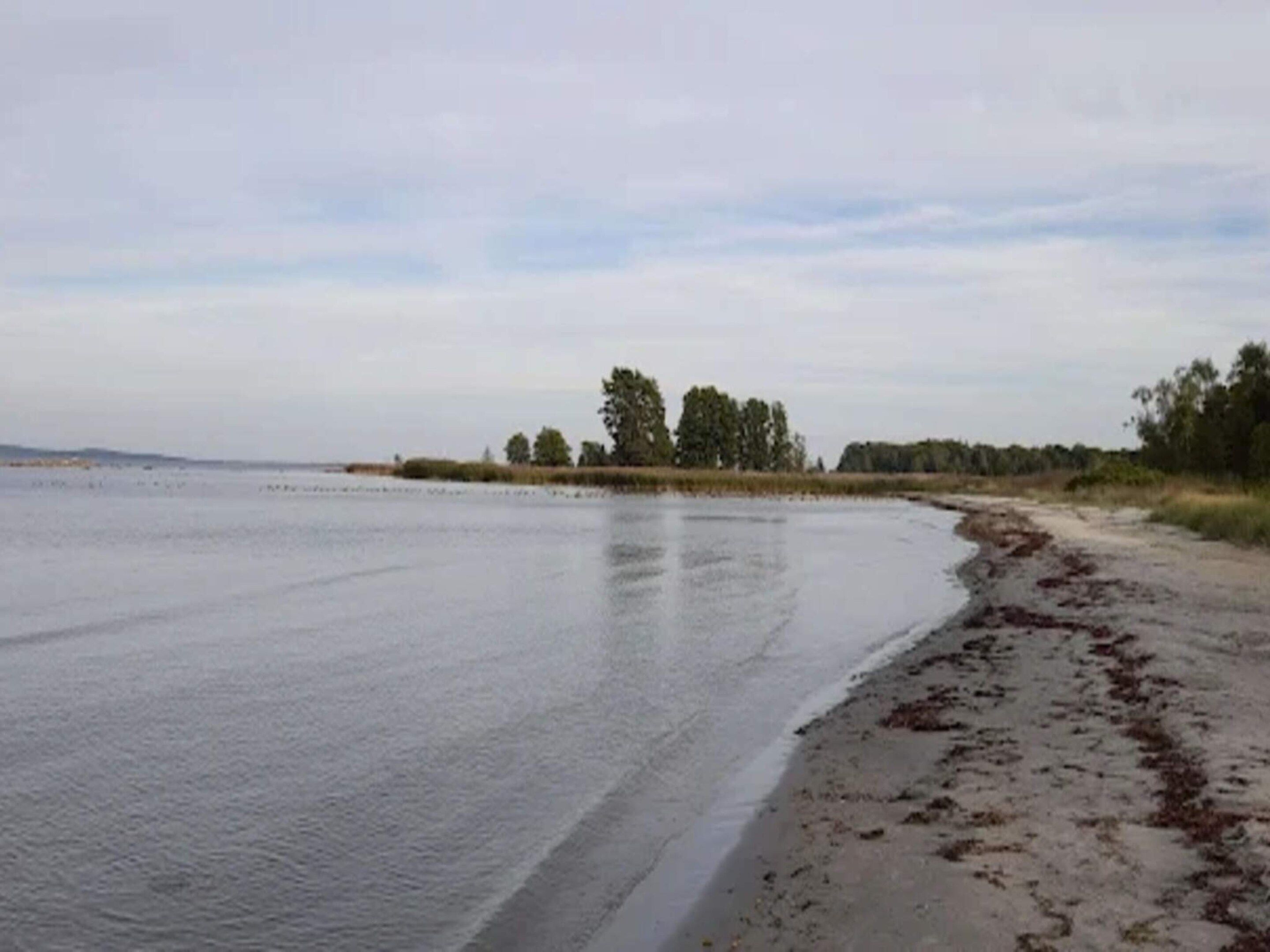 Utsikt mot vann