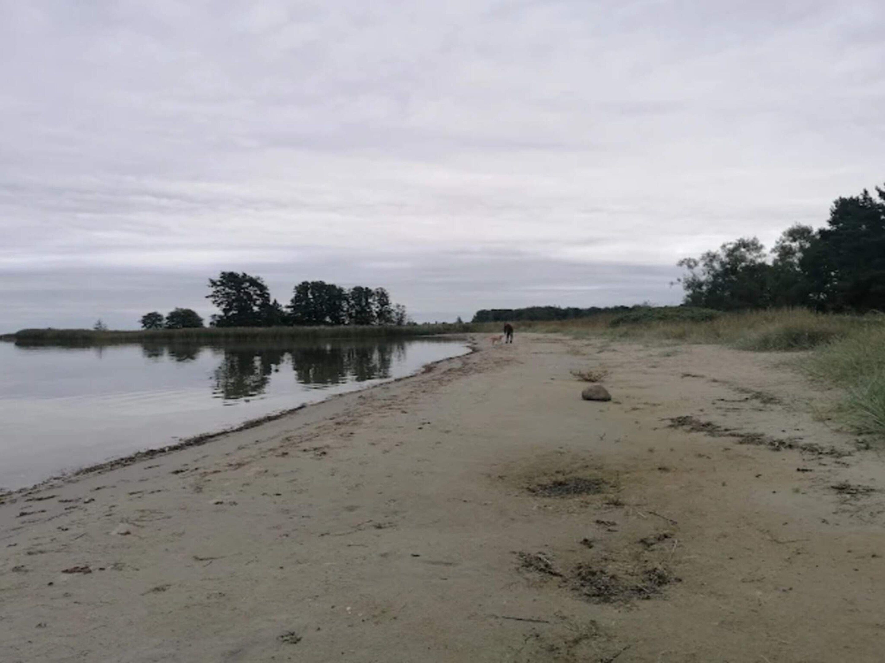 A sandy beach with a calm body of water and trees in the background.
