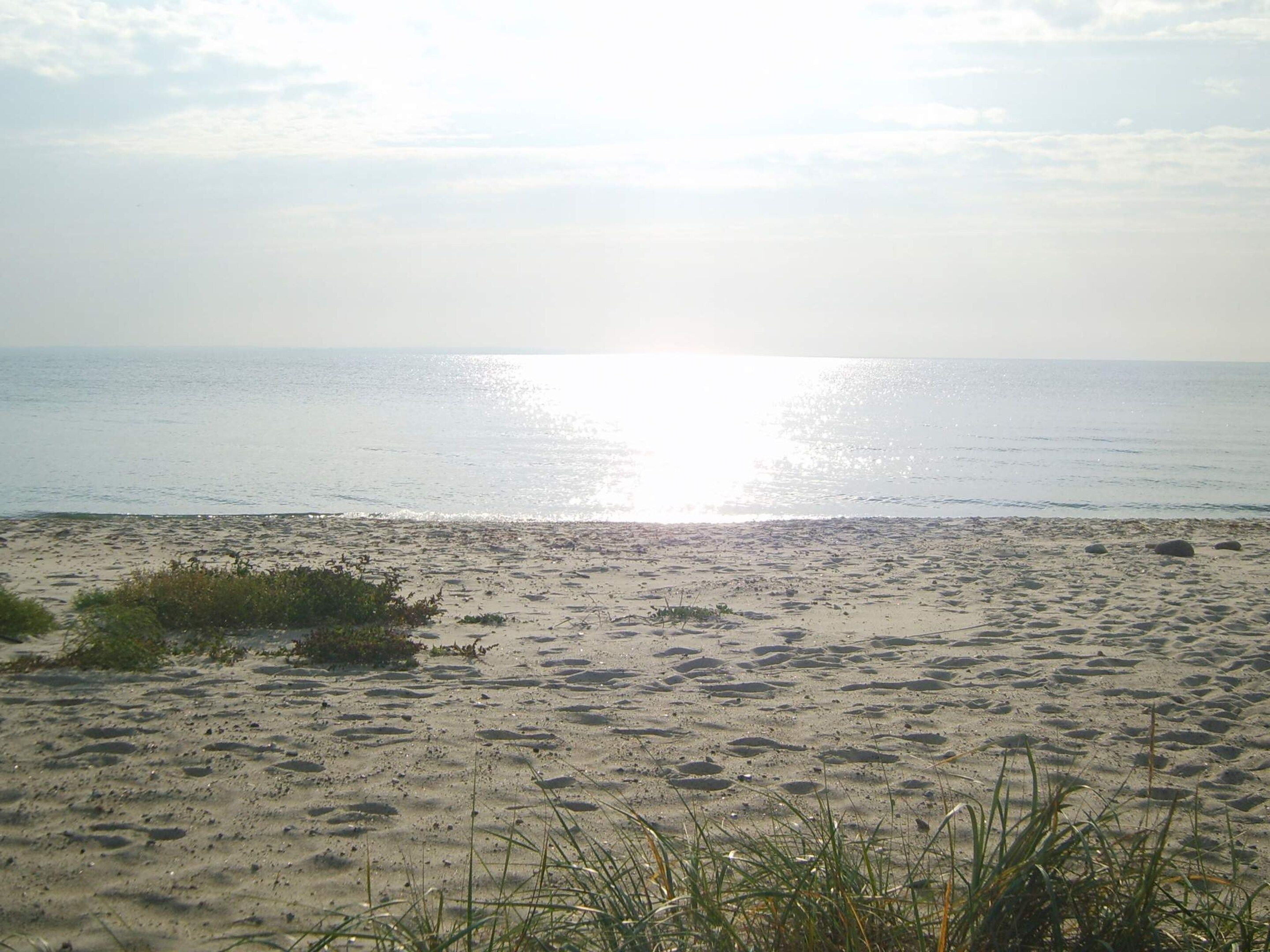 Une plage de sable avec une végétation clairsemée.