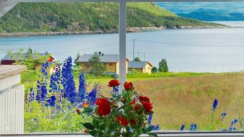 House | Lake view
