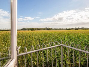 A view of a cornfield with a metal fence in the foreground. - 12 Person Holiday Home in Bredebro (Bredebro)