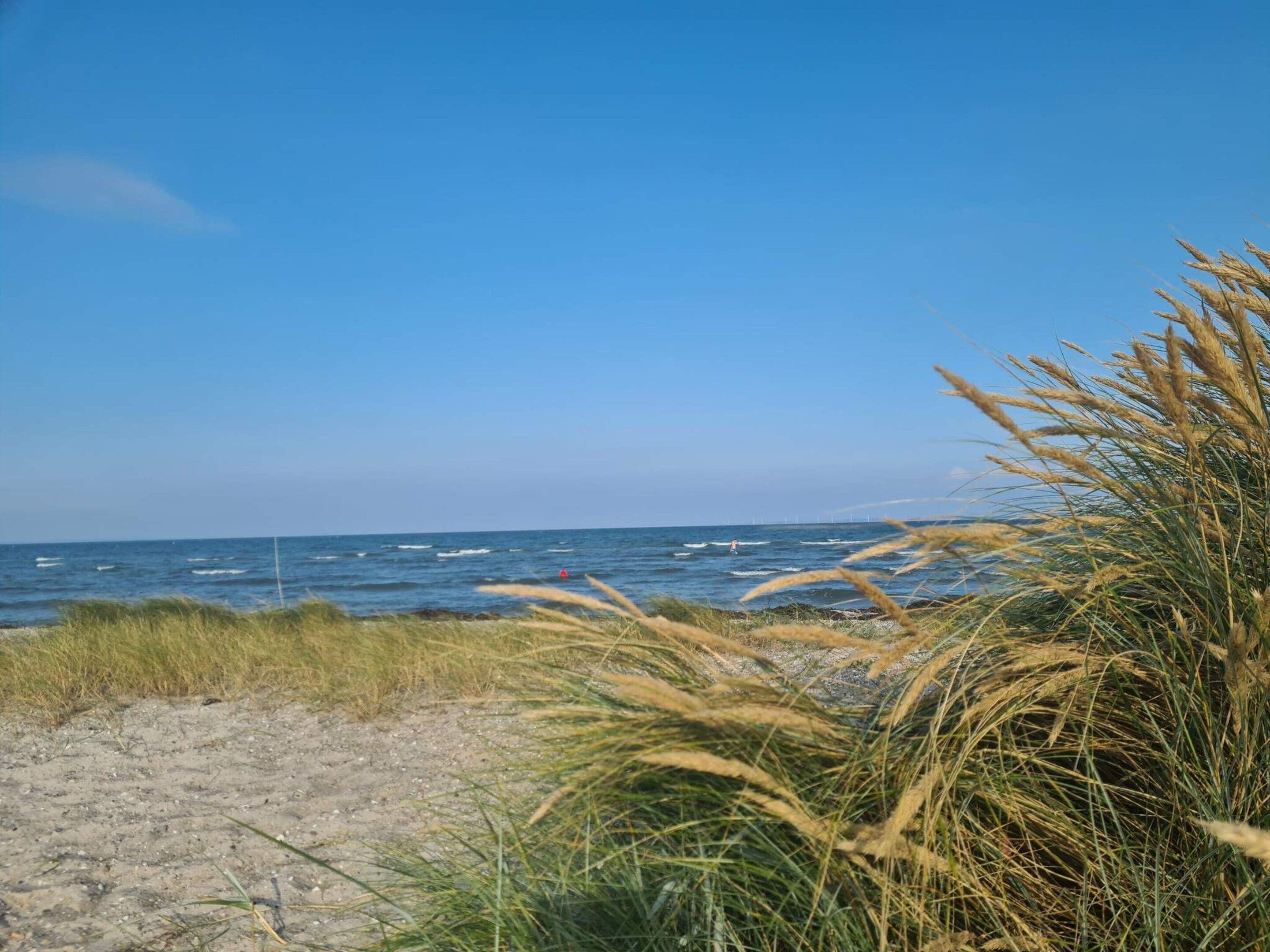 House | Beach