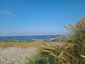 A beach with sand, grass, and the ocean. - 12 Person Holiday Home in Bredebro (Bredebro)