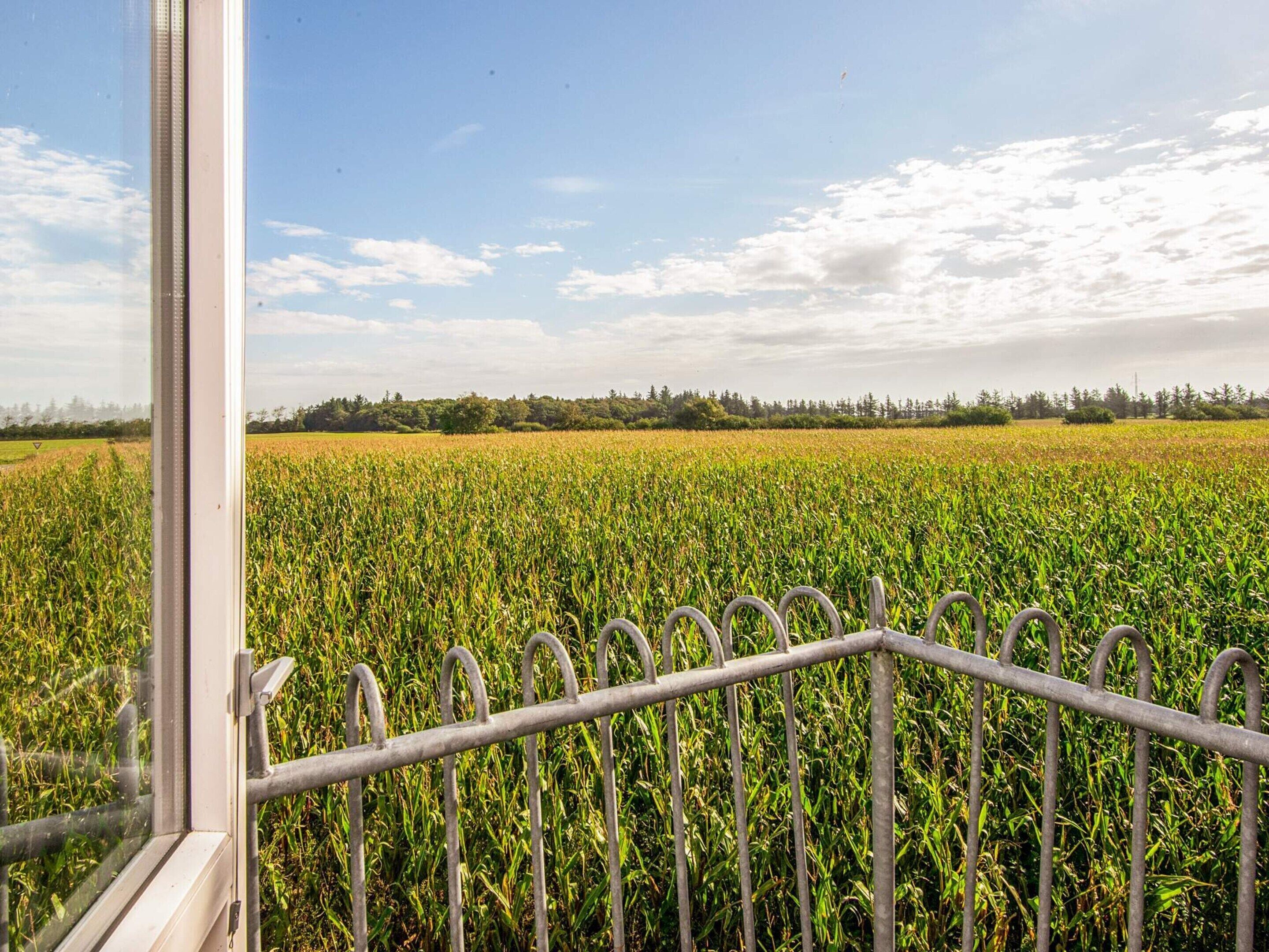 Hus | Utsikt fra overnattingsstedet