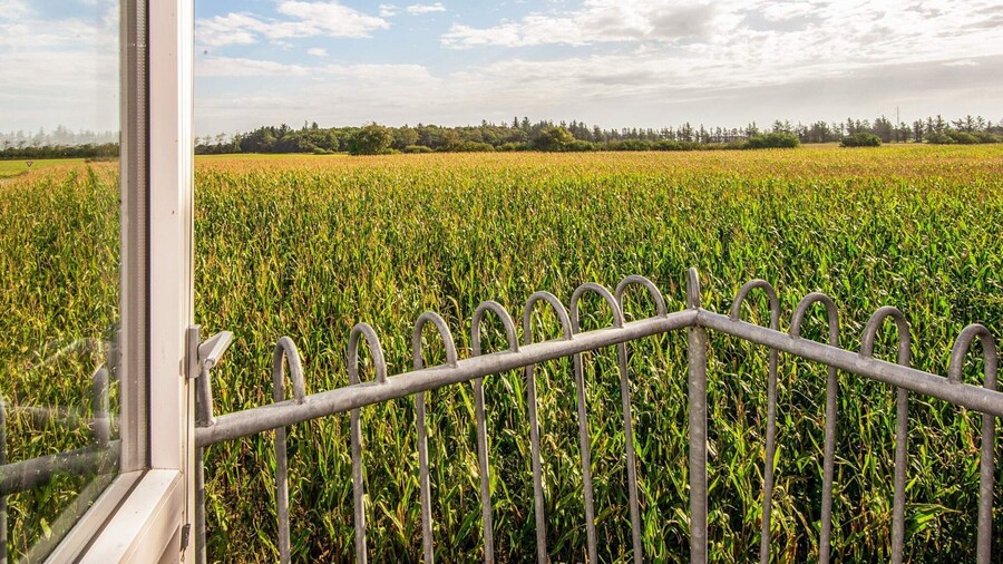 12 Person Holiday Home in Bredebro-by Traum